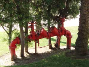 pipe shutoff valves crowded by shrubs