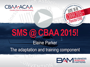 Elaine Parker - SMS at 
CBAA 2015 - the adaptation and training component